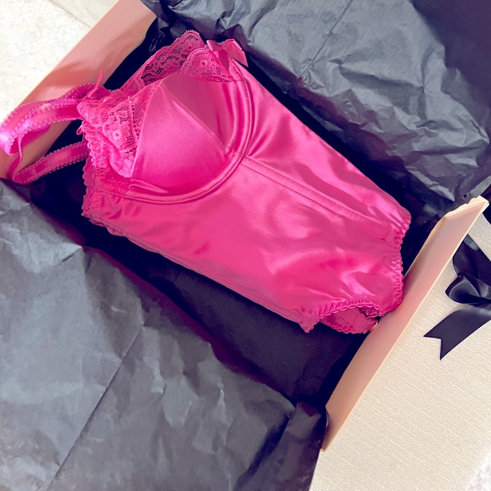 Hot Pink Bustier - Picture 3 of 4